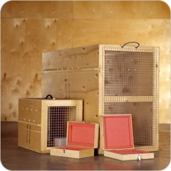 animal / HardDrive Cases